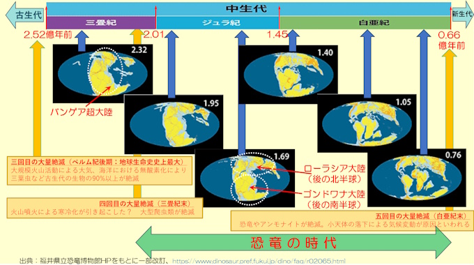 ������T�v